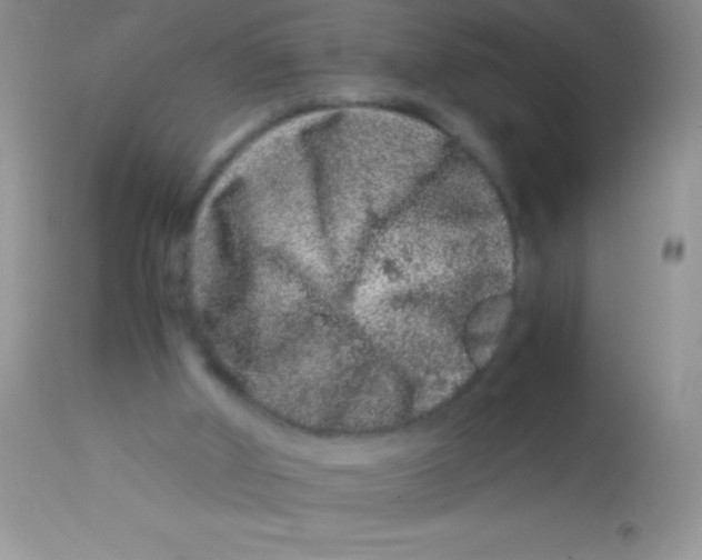 X0000112900010200909181947