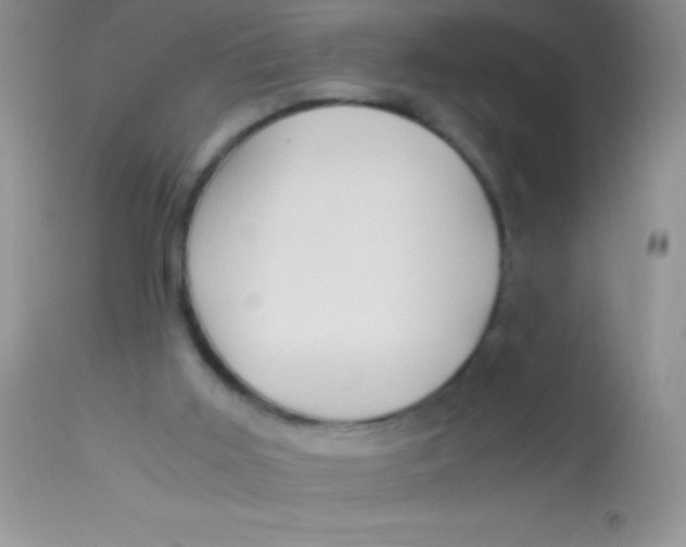X0000112900011200909181947