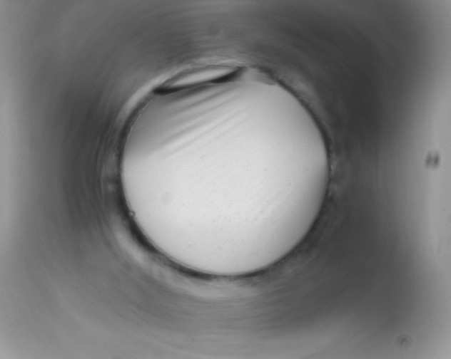 X0000112900012200909181947