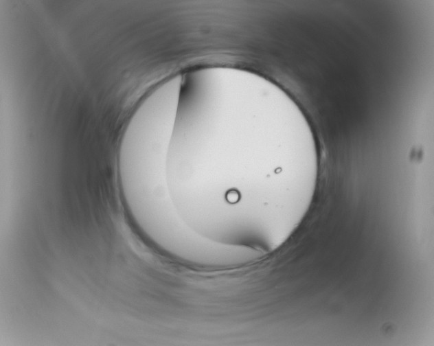X0000112900013200909181947
