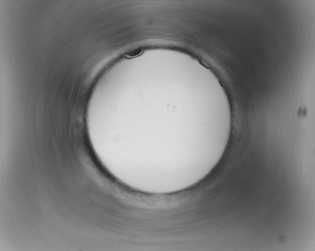 X0000112900015200909181947