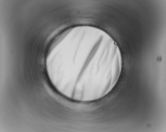X0000112900016200909181947