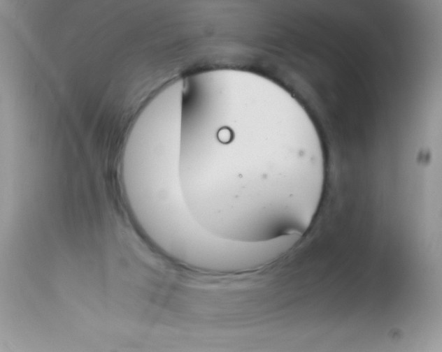 X0000112900017200909181947