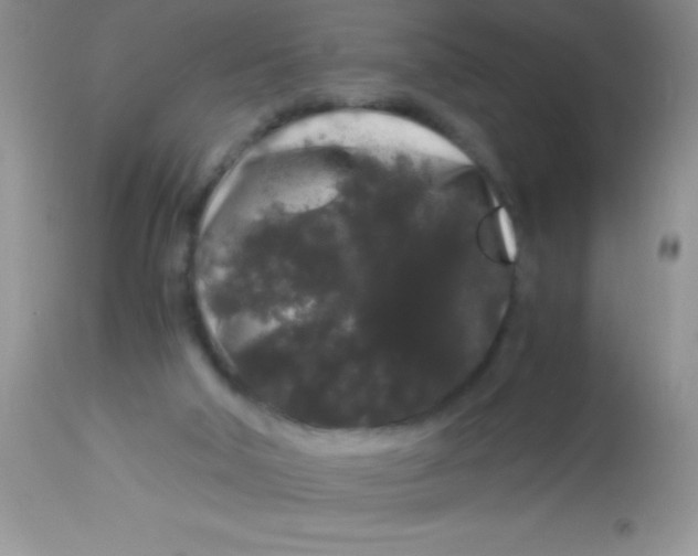 X0000112900018200909181947