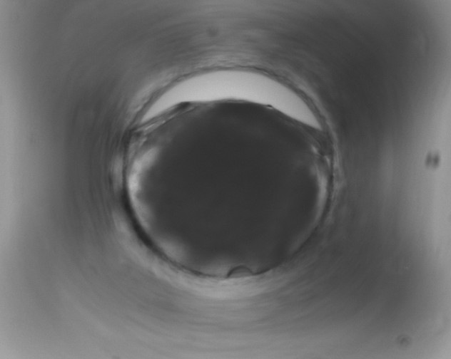 X0000112900019200909181947