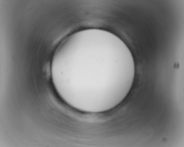 X0000112900020200909181947