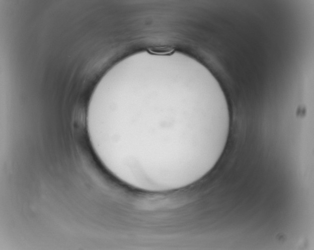 X0000112900021200909181947