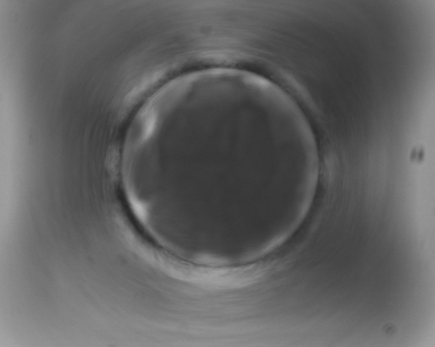 X0000112900023200909181947