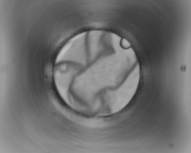 X0000112900024200909181947