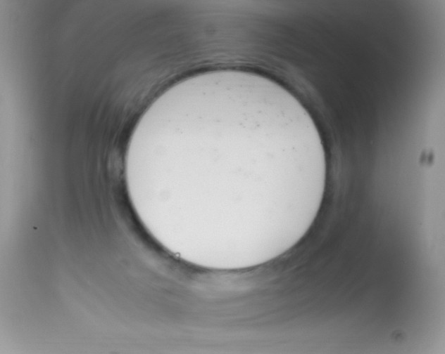 X0000112900025200909181947