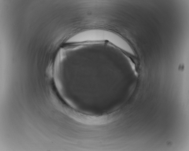 X0000112900027200909181947