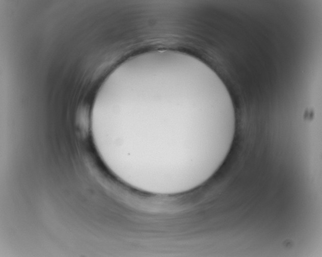 X0000112900028200909181947