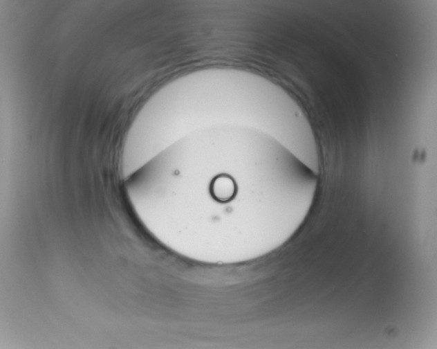 X0000112900029200909181947