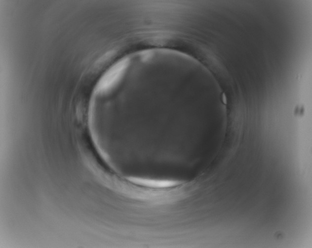 X0000112900031200909181947