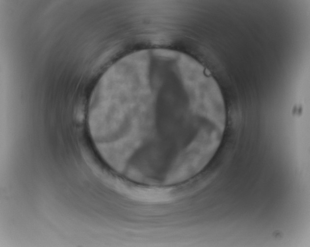 X0000112900032200909181947