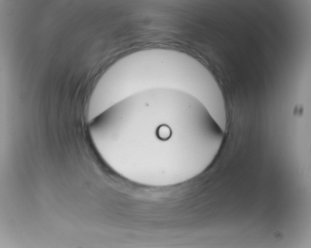 X0000112900033200909181947