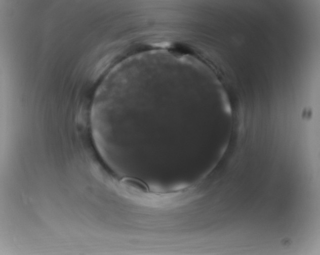 X0000112900035200909181947