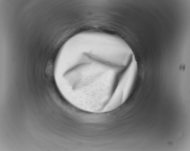 X0000112900036200909181947