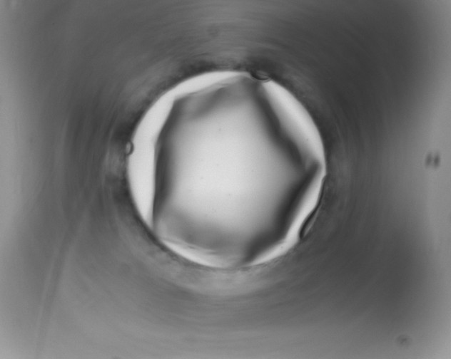 X0000112900037200909181946