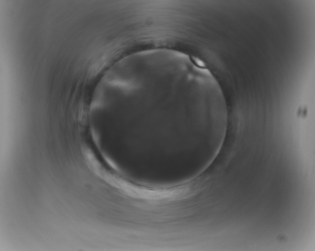 X0000112900039200909181946