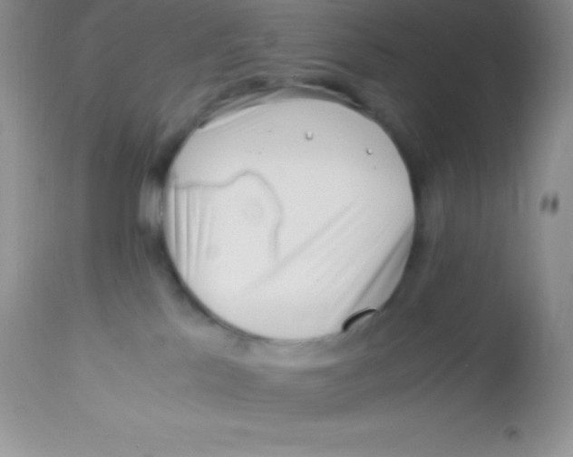 X0000112900041200909181946