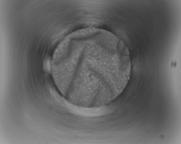 X0000112900042200909181946