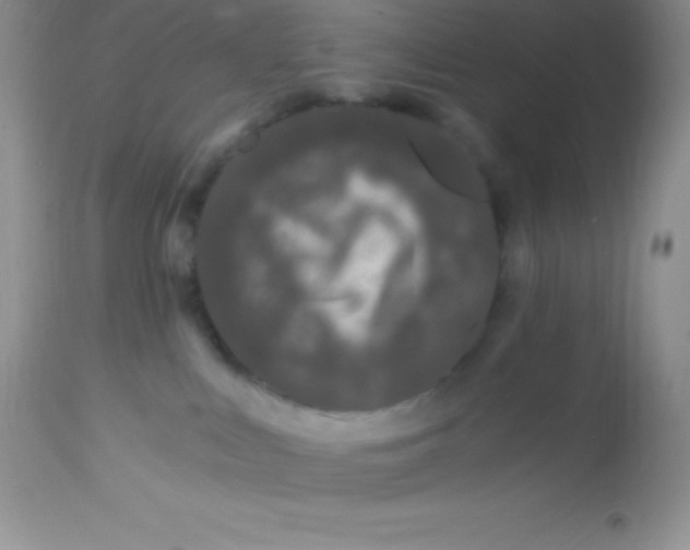 X0000112900043200909181946