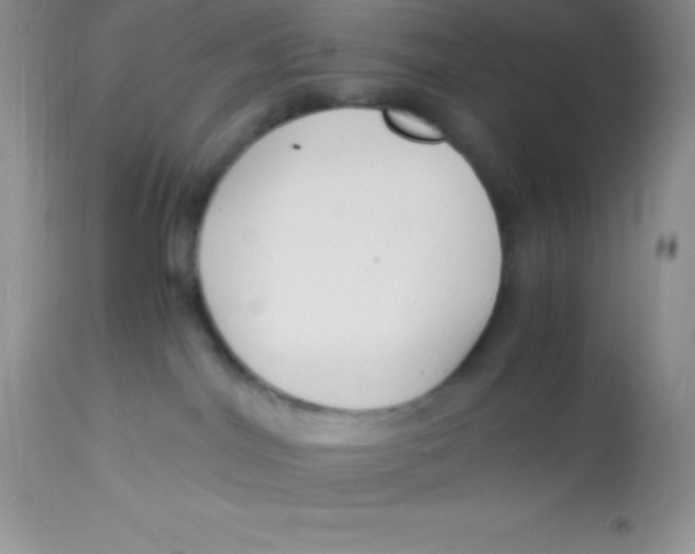 X0000112900044200909181946
