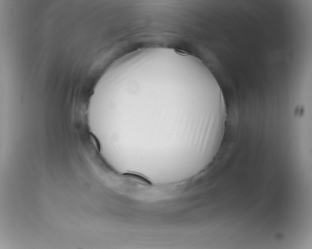 X0000112900045200909181946