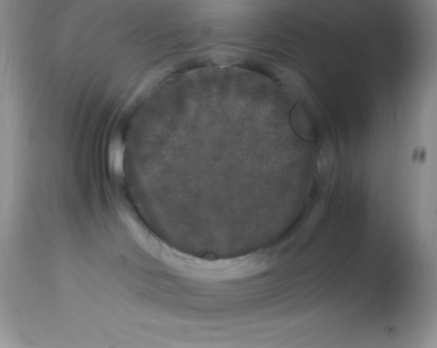 X0000112900046200909181946