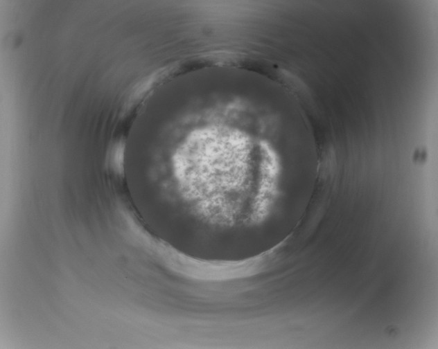 X0000112900047200909181946