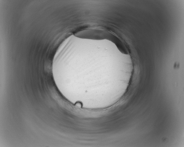 X0000112900048200909181946