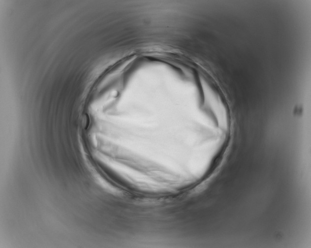 X0000112900049200909181946