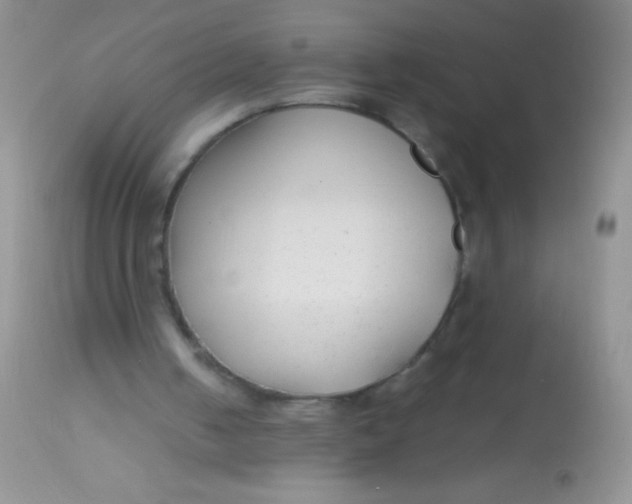 X0000112900050200909181946