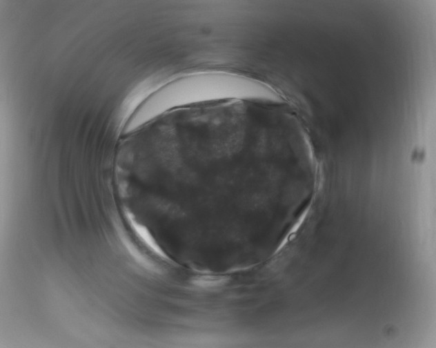 X0000112900051200909181946