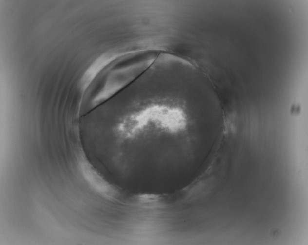 X0000112900052200909181946