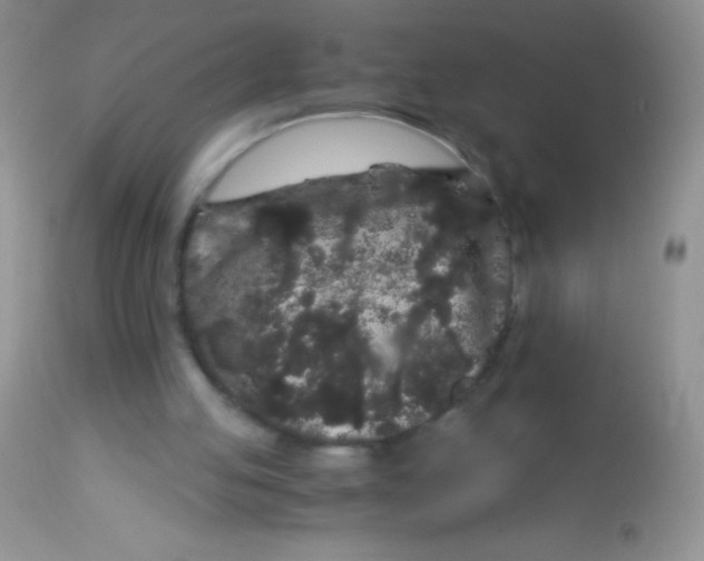 X0000112900053200909181946