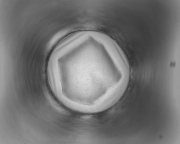 X0000112900054200909181946