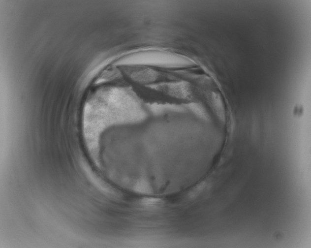 X0000112900055200909181946