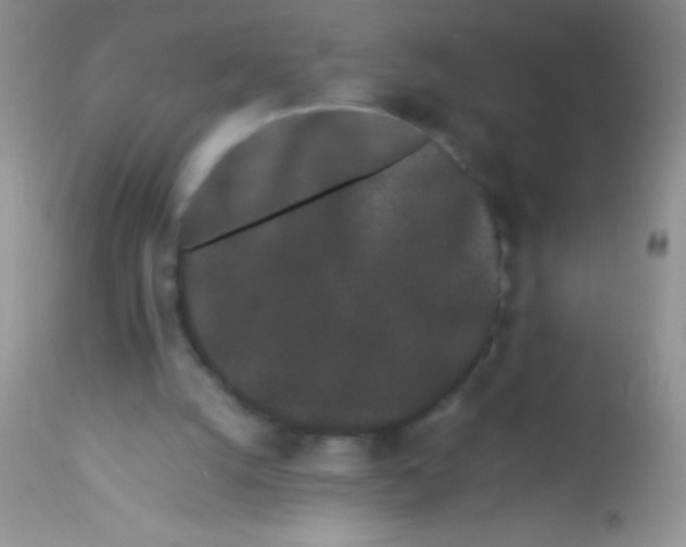 X0000112900056200909181946
