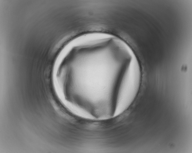X0000112900058200909181946