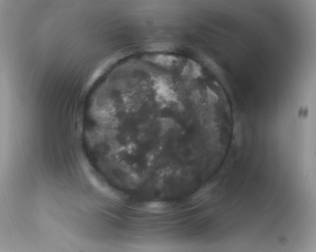 X0000112900059200909181946