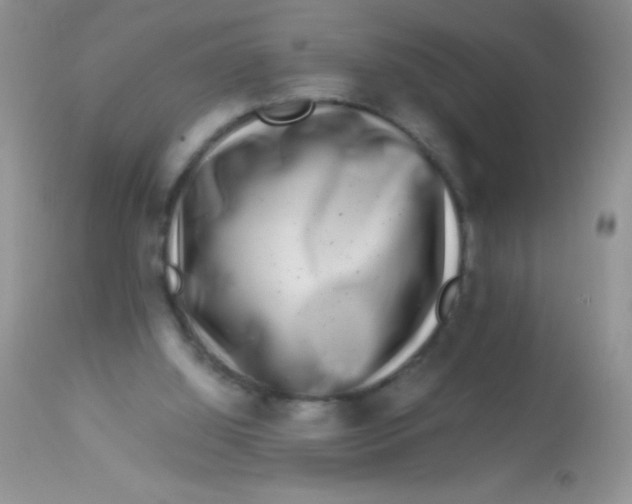 X0000112900060200909181946