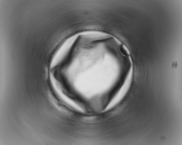 X0000112900061200909181946