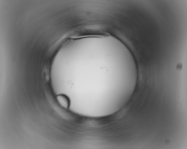 X0000112900062200909181946