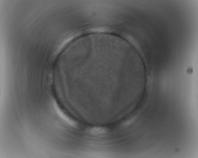 X0000112900063200909181946