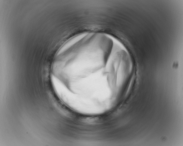 X0000112900065200909181946