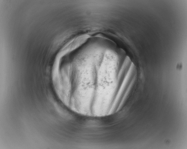 X0000112900066200909181946