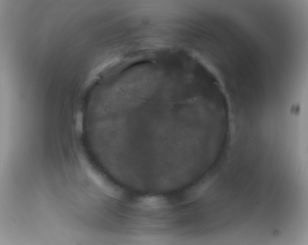 X0000112900067200909181946