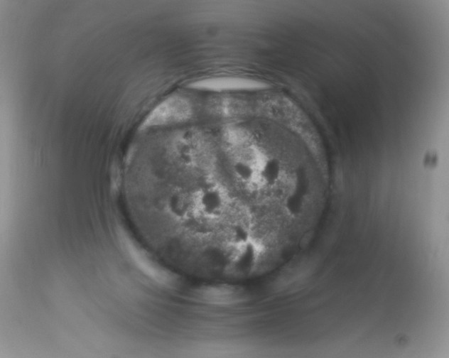 X0000112900069200909181946